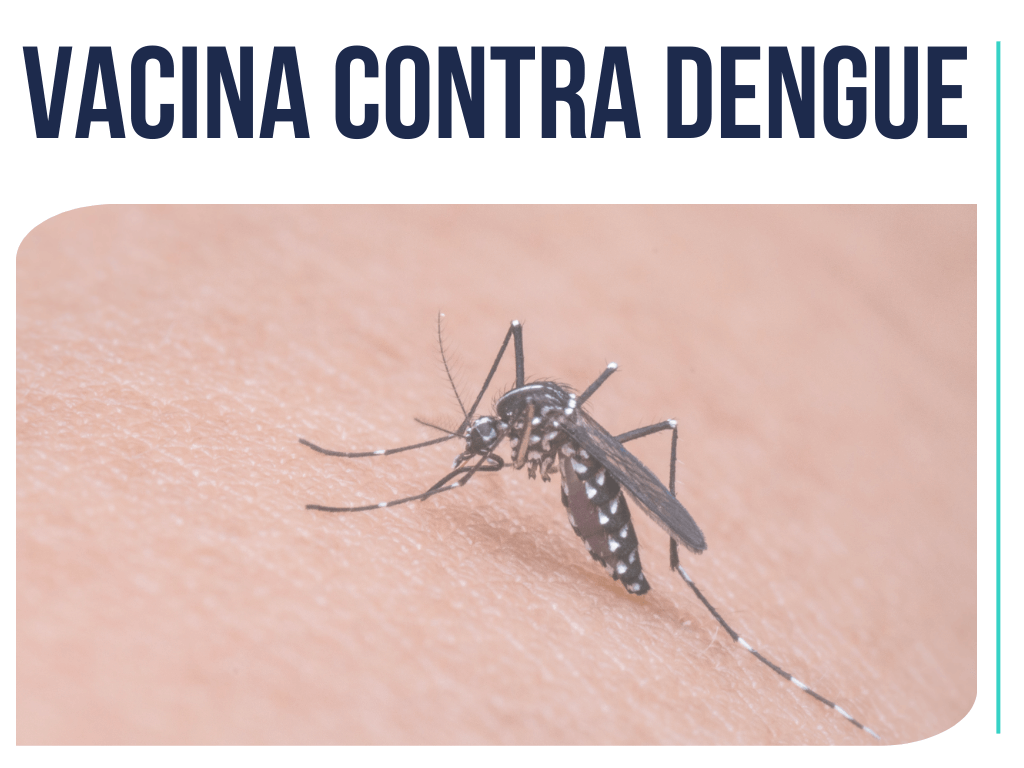 Vacina contra dengue em BH: se proteja contra uma das doenças que mais afeta os brasileiros