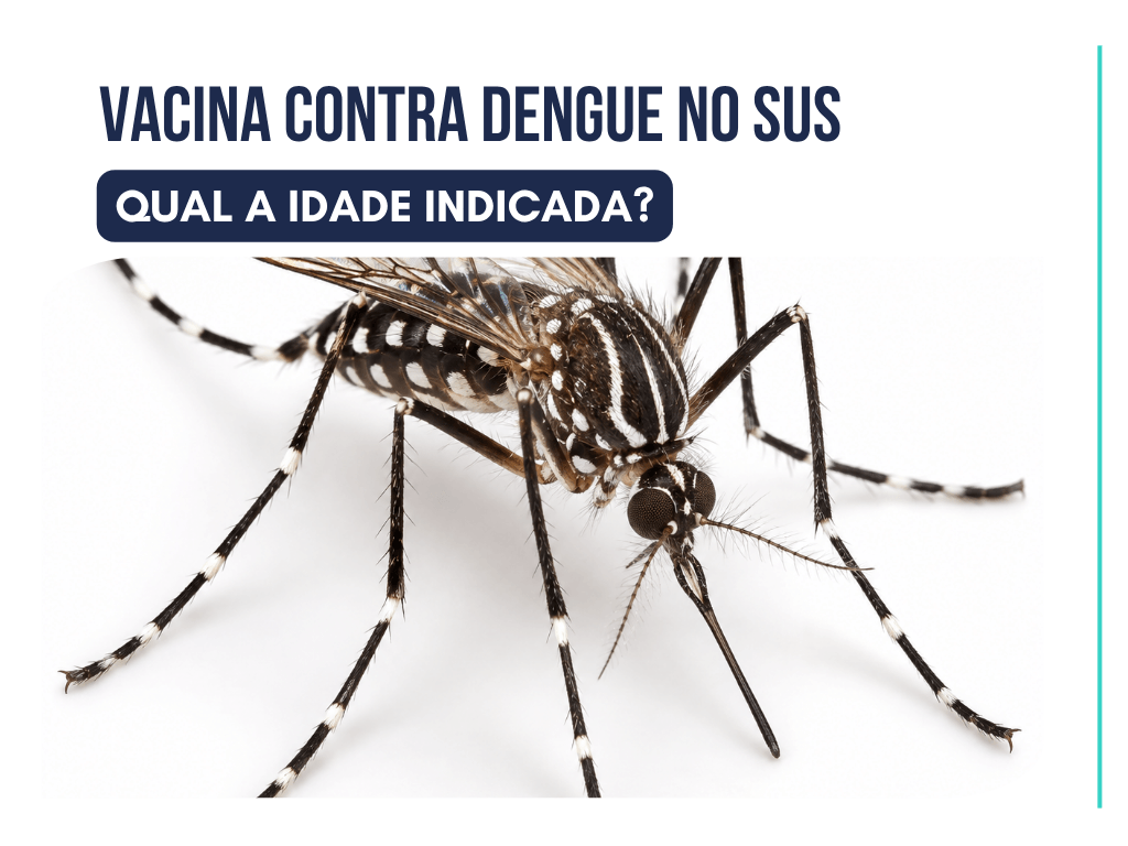 Vacina contra Dengue tem no SUS? Veja as idades indicadas aqui